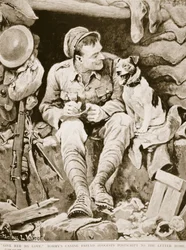 Dê-lhe meu amor, amigo canino Tommys Sugere Post Script to the Letter Home, de Guerra Ilustrada, c. 1916
